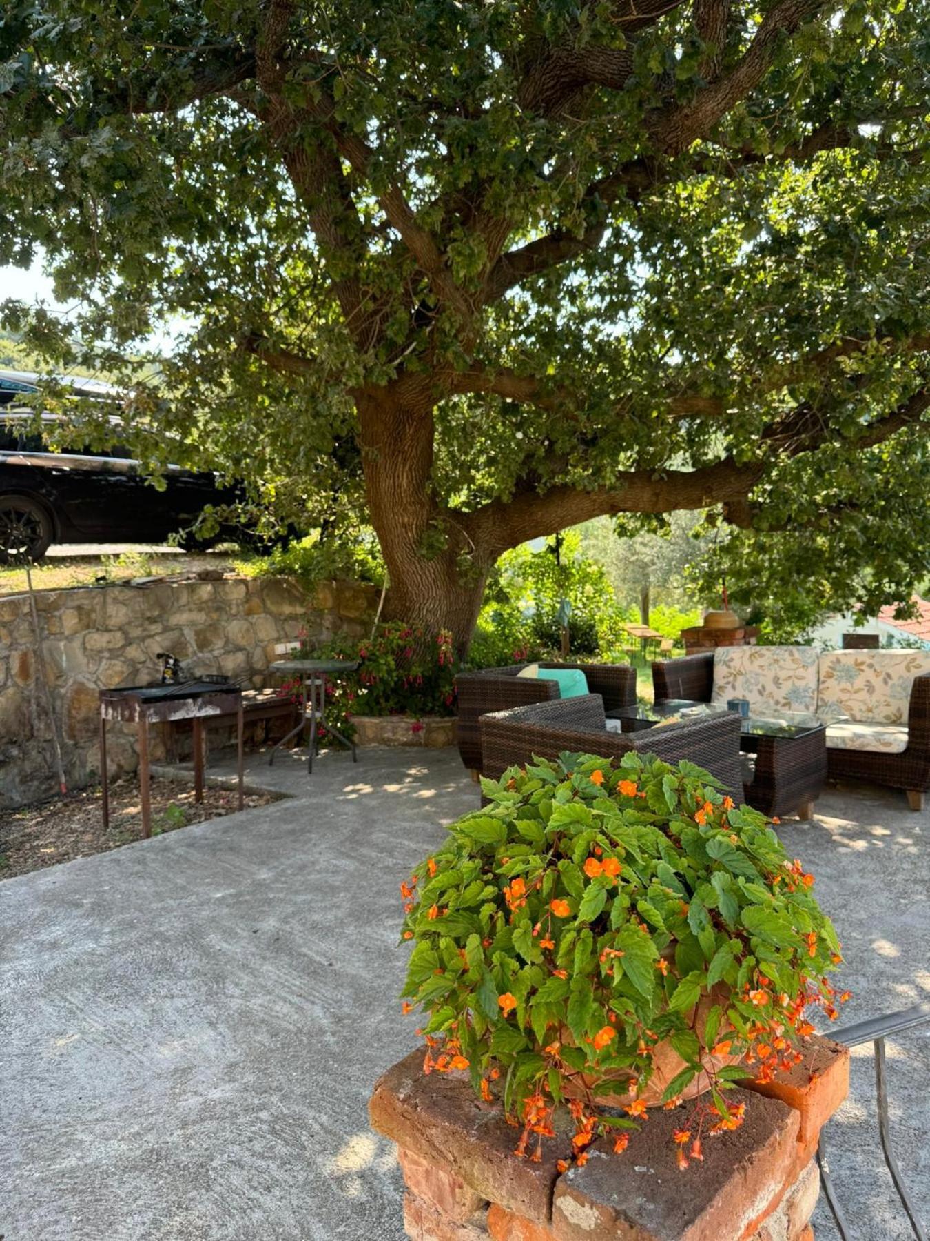 Apartments Dumicic Supetarska Draga Buitenkant foto